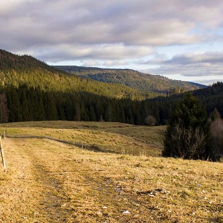 Gemuetliche Ferienwohnung - Mitten Im Schwarzwald Бернау-ім-Шварцвальд Екстер'єр фото