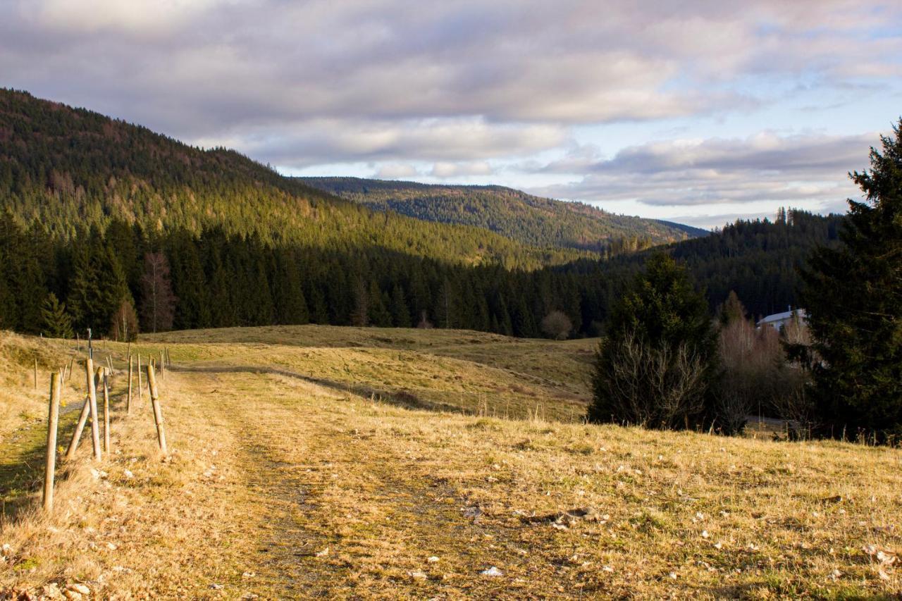 Gemuetliche Ferienwohnung - Mitten Im Schwarzwald Бернау-ім-Шварцвальд Екстер'єр фото