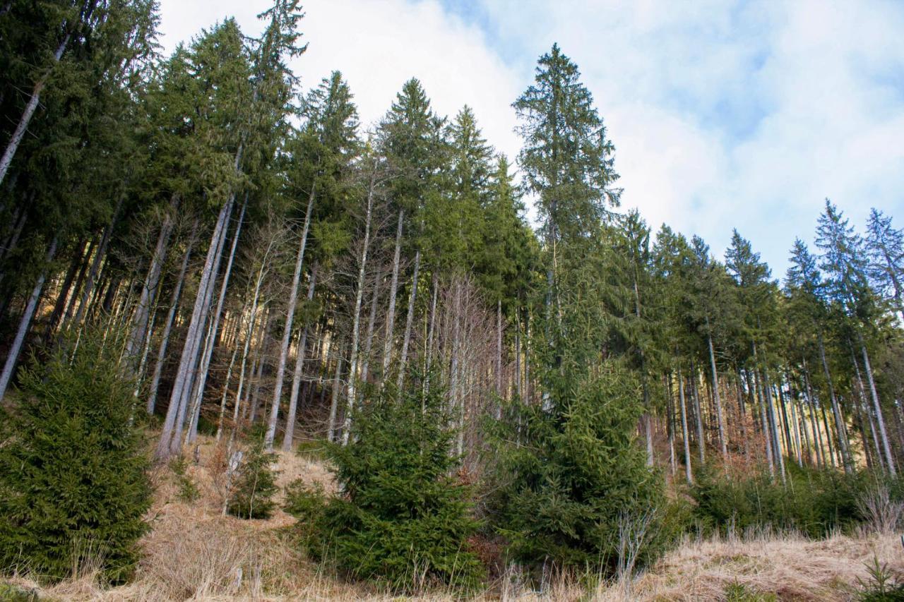 Gemuetliche Ferienwohnung - Mitten Im Schwarzwald Бернау-ім-Шварцвальд Екстер'єр фото