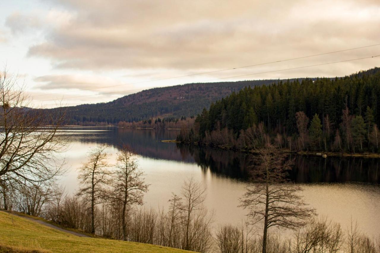 Gemuetliche Ferienwohnung - Mitten Im Schwarzwald Бернау-ім-Шварцвальд Екстер'єр фото